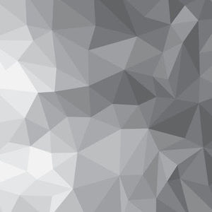 Meet your Posher, Chan